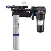 Everpure EV979721 Kleensteam II Single Water Filter System With 2.5 GPM Flow Rate